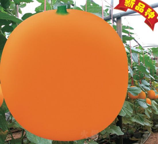 ���ۼt-��ϷN��-�Ƶ���