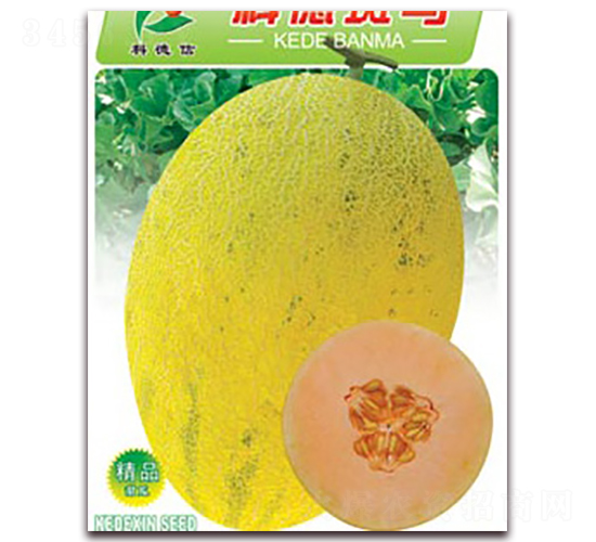 �Ƶ°��R-��ϷN��-�Ƶ���