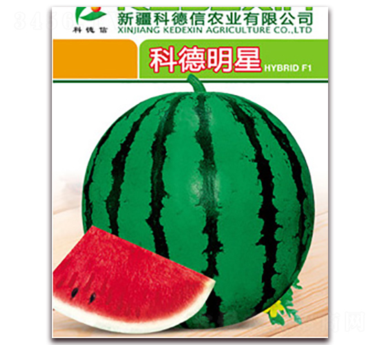 �Ƶ�����-���ϷN��-�Ƶ���