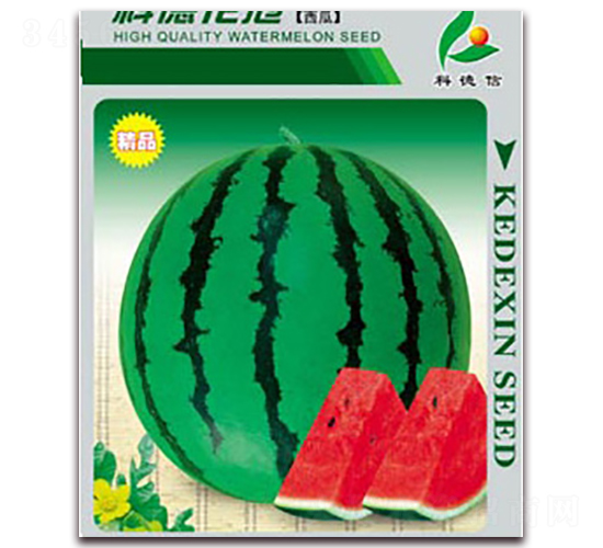 �Ƶ»���-���ϷN��-�Ƶ���