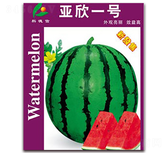 ����һ̖(h��o)-���ϷN��-�Ƶ���