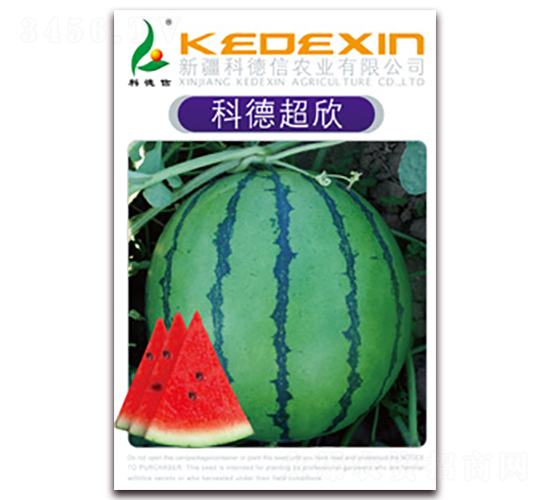 �Ƶ³���-���ϷN��-�Ƶ���