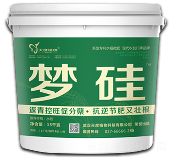 ����-���ֲ��