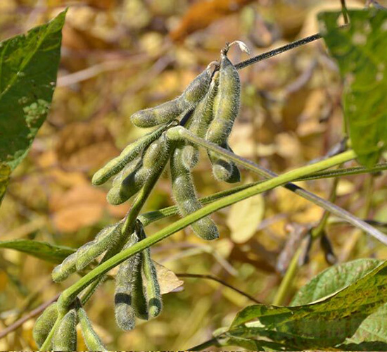 ƽ����80-ƽ���N�I(y��)