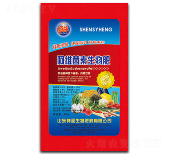 ���S���������-��ʥ����