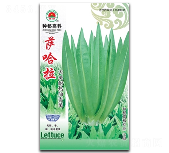 �_����-�����˷N��-�߿ƷN�I(y��)