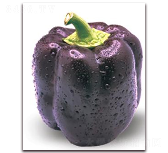 ����-�ʽ��N��-ɣ�r(n��ng)�N�I(y��)