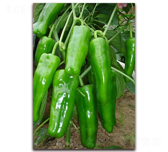 ����-�⽷�N��-ɣ�r�N�I(y��)