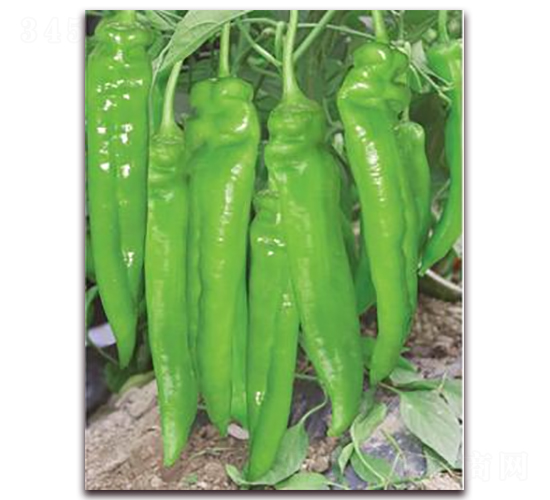 ����-�⽷�N��-ɣ�r(n��ng)�N�I(y��)