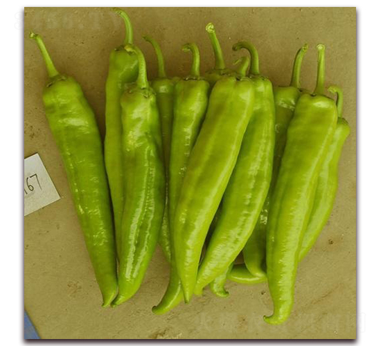 ����121-�⽷�N��-ɣ�r(n��ng)�N�I(y��)