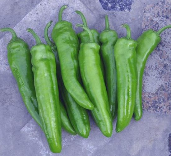 ����901-�⽷�N��-ɣ�r(n��ng)�N�I(y��)