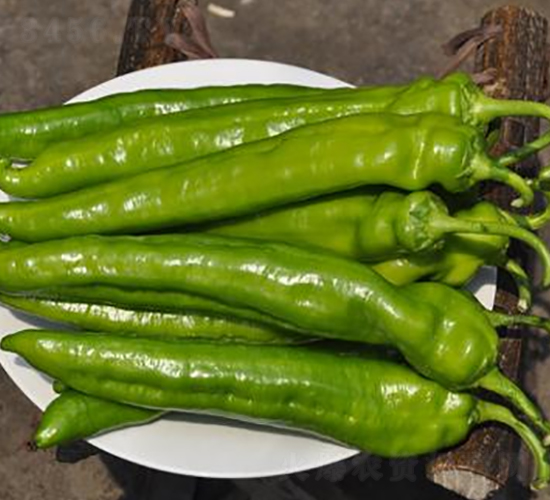 ����902-�⽷�N��-ɣ�r(n��ng)�N�I(y��)