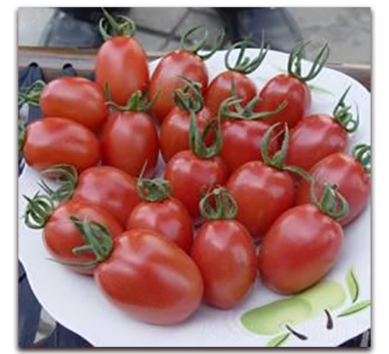 ��õ��-���ѷN��-ɣ�r(n��ng)�N�I(y��)