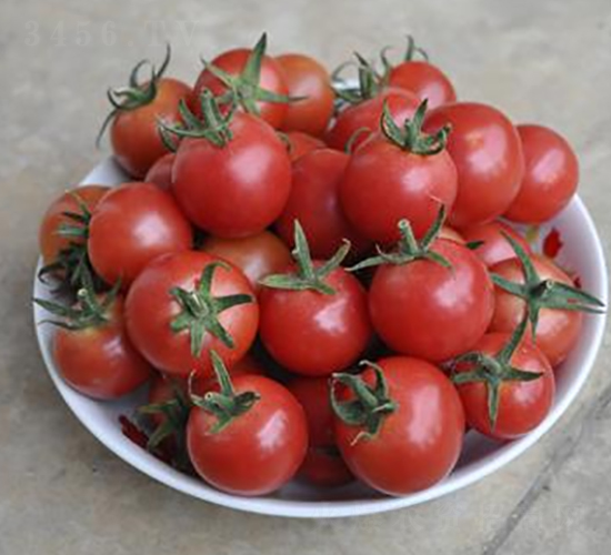 ����-���ѷN��-ɣ�r(n��ng)�N�I(y��)