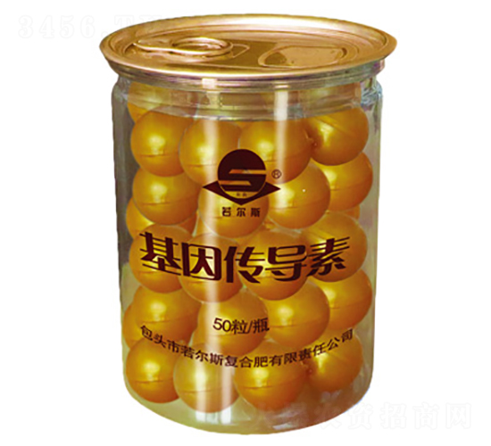 �������(d��o)��-����˹