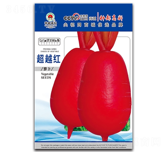 ��Խ�t-�t�}���N��-�߿ƷN�I(y��)