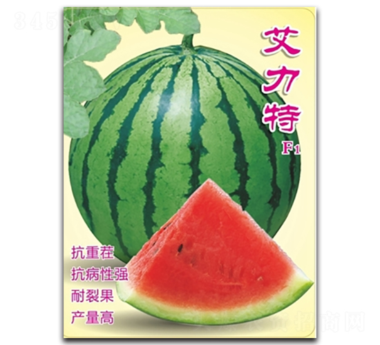 ������-���ϷN��-�߿ƷN�I(y��)