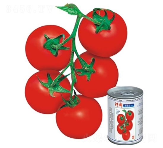 ˹�Z��-���ѷN��-�߿ƷN�I(y��)