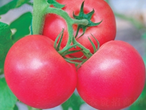 �W��-���ѷN��-�߿ƷN�I(y��)