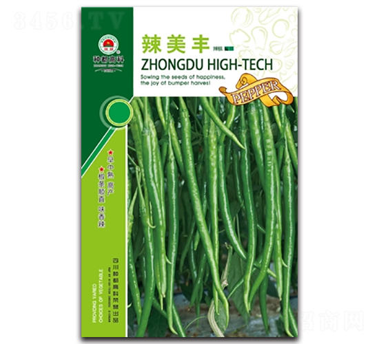 �����S-�����N��-�߿ƷN�I(y��)