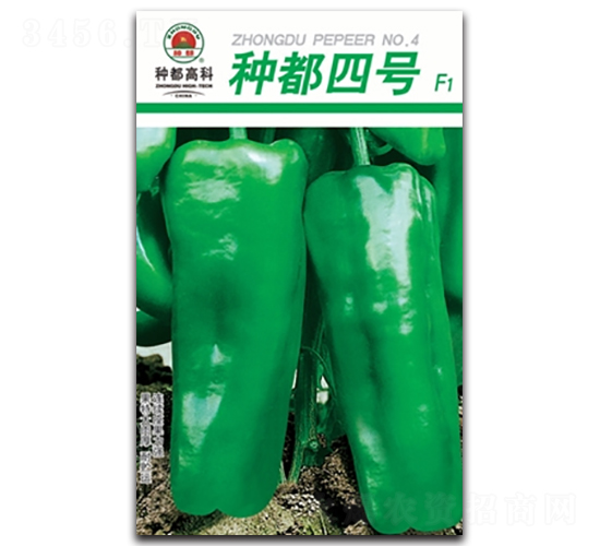 �N����̖(h��o)-�����N��-�߿ƷN�I(y��)