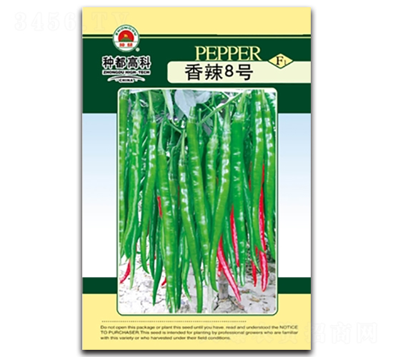 ����8̖(h��o)-�����N��-�߿ƷN�I(y��)