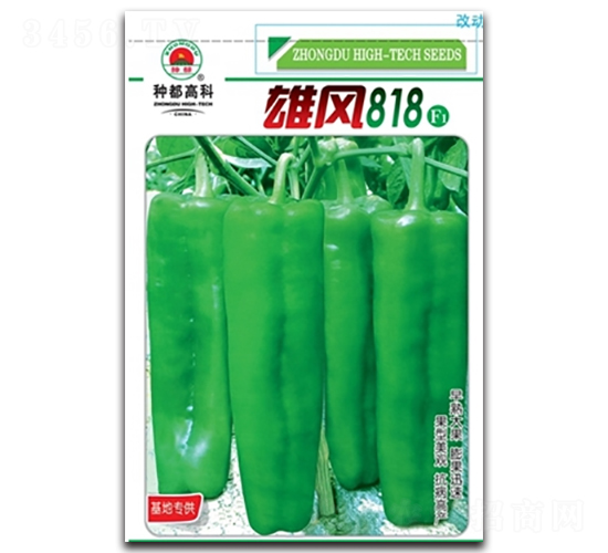 ���L(f��ng)818-�����N��-�߿ƷN�I(y��)