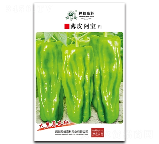 ��Ƥ����-�����N��-�߿ƷN�I(y��)