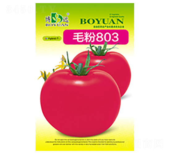 ë��803-���r(n��ng)�N�I(y��)