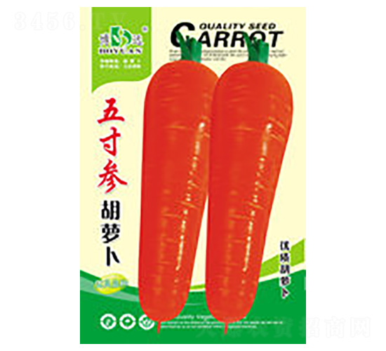 ��煢���}��-���r(n��ng)�N�I(y��)