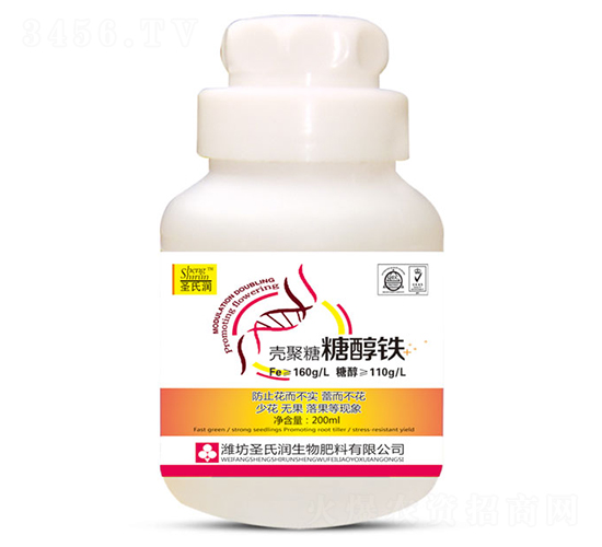 �������Ǵ��F-ʥ�ϝ�