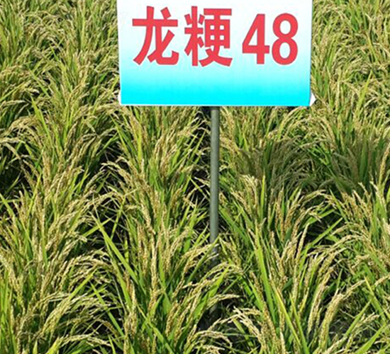 ����48-ˮ���N��-ɏ�R�r(n��ng)�I(y��)