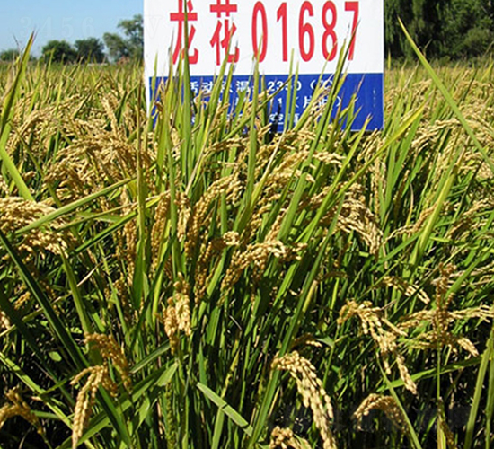 ����01687-ˮ���N��-ɏ�R�r(n��ng)�I(y��)