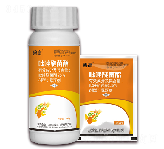 25%�����Ѿ���-�̸�-�S�՘�