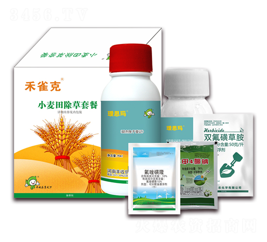 С��������ײ�-��ȸ��-�S�՘�