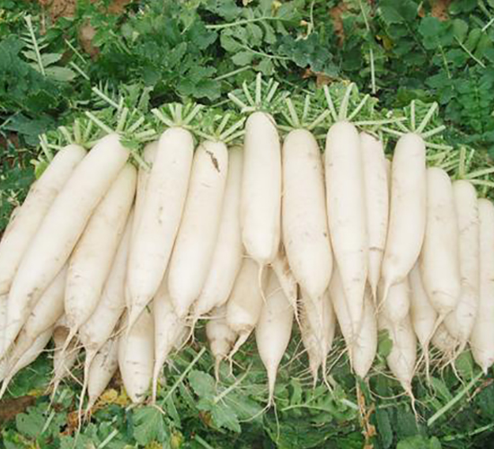 ���Ѱ��}��-�}���N��-���\�N��