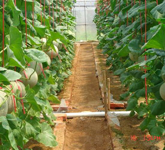 �����˾W(w��ng)�y���-��ϷN��-���\�N��