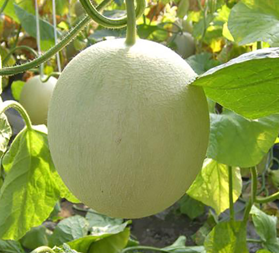 �G���W(w��ng)�y���-��ϷN��-���\�N��