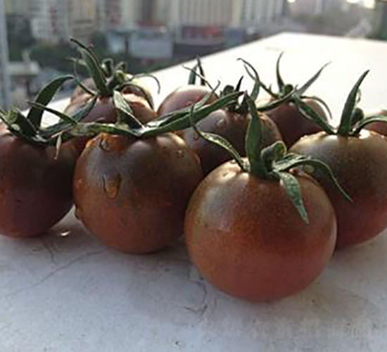 ����150����F1-���ѷN��-���\�N��