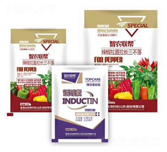 ������ֱ���L������-���_