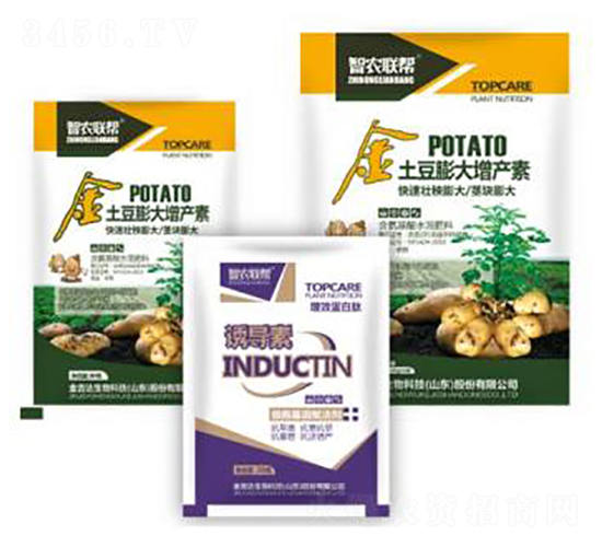 ����������a(ch��n)��-���_(d��)