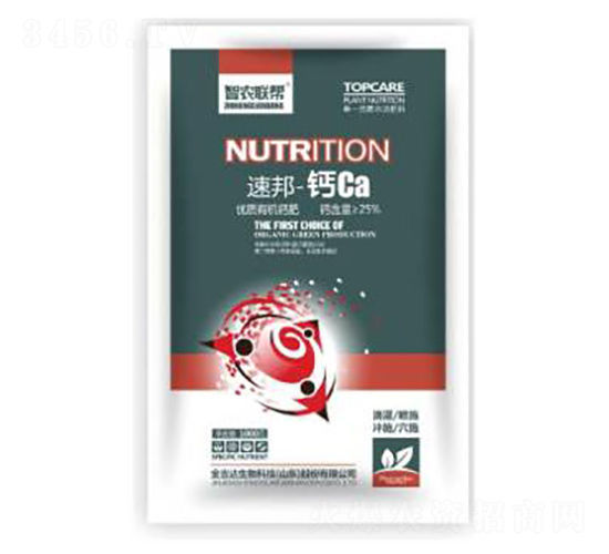 �ٰ�-�}Ca-���_