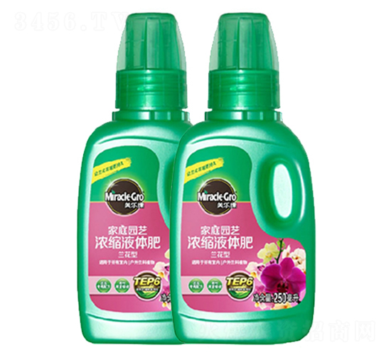 ��ͥ�@ˇ��sҺ�w��-�|����