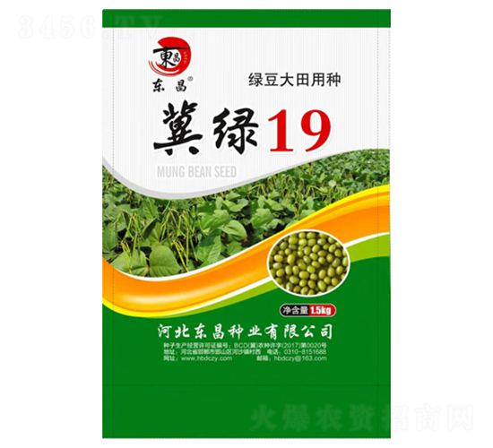 ���G19-�|��