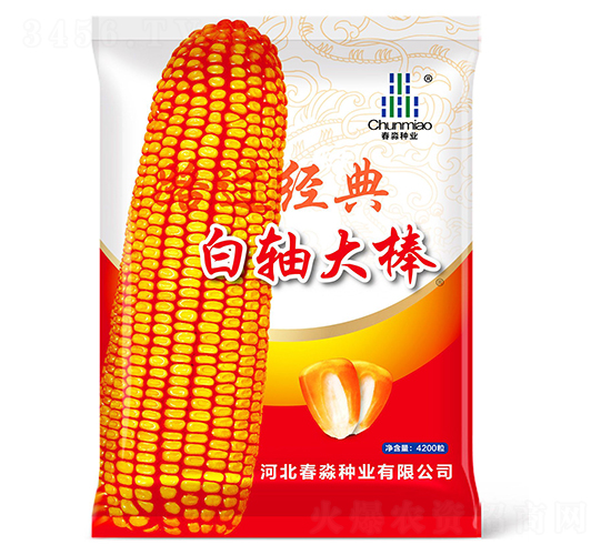 ���S���-�����N�I(y��)