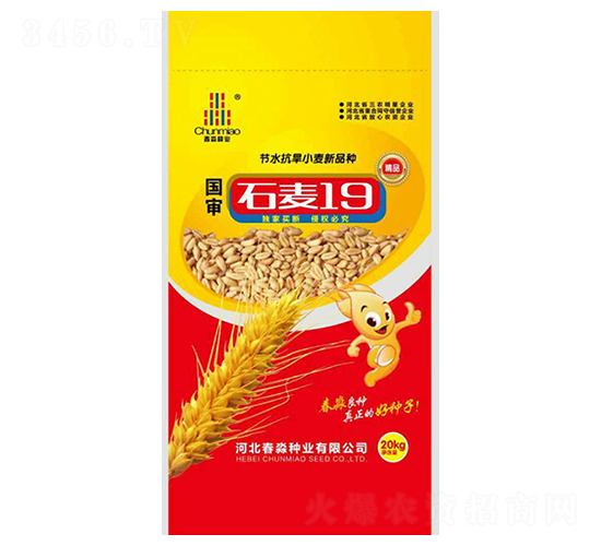 ʯ��19̖(h��o)-�����N�I(y��)