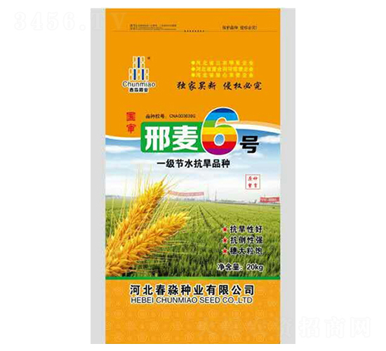 ����6̖-�����N�I(y��)