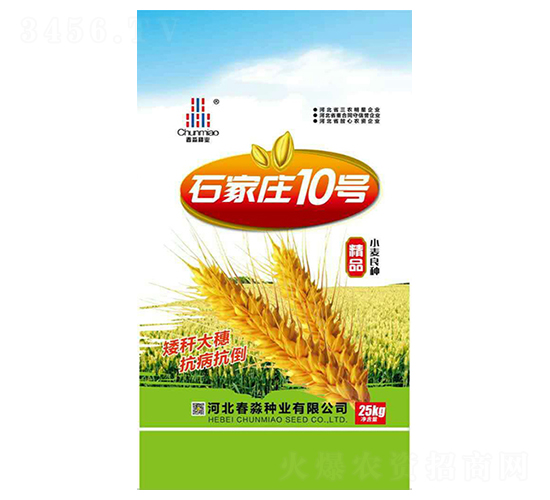 ʯ���f10̖(h��o)-�����N�I(y��)