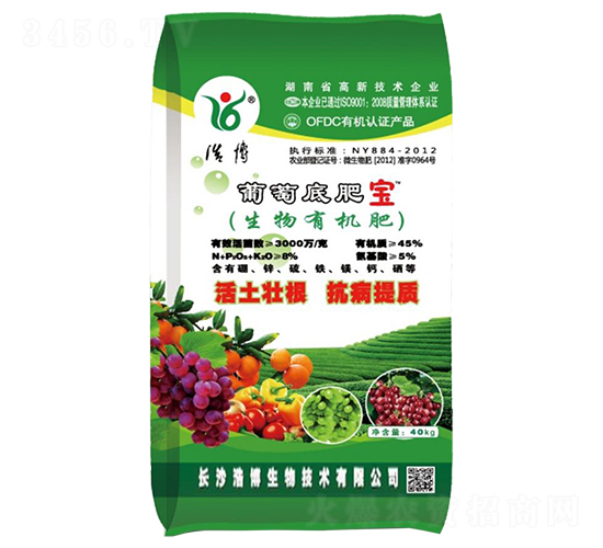 ���ѵ׷ʌ�-�Ʋ�����