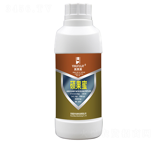 �T����-���A����